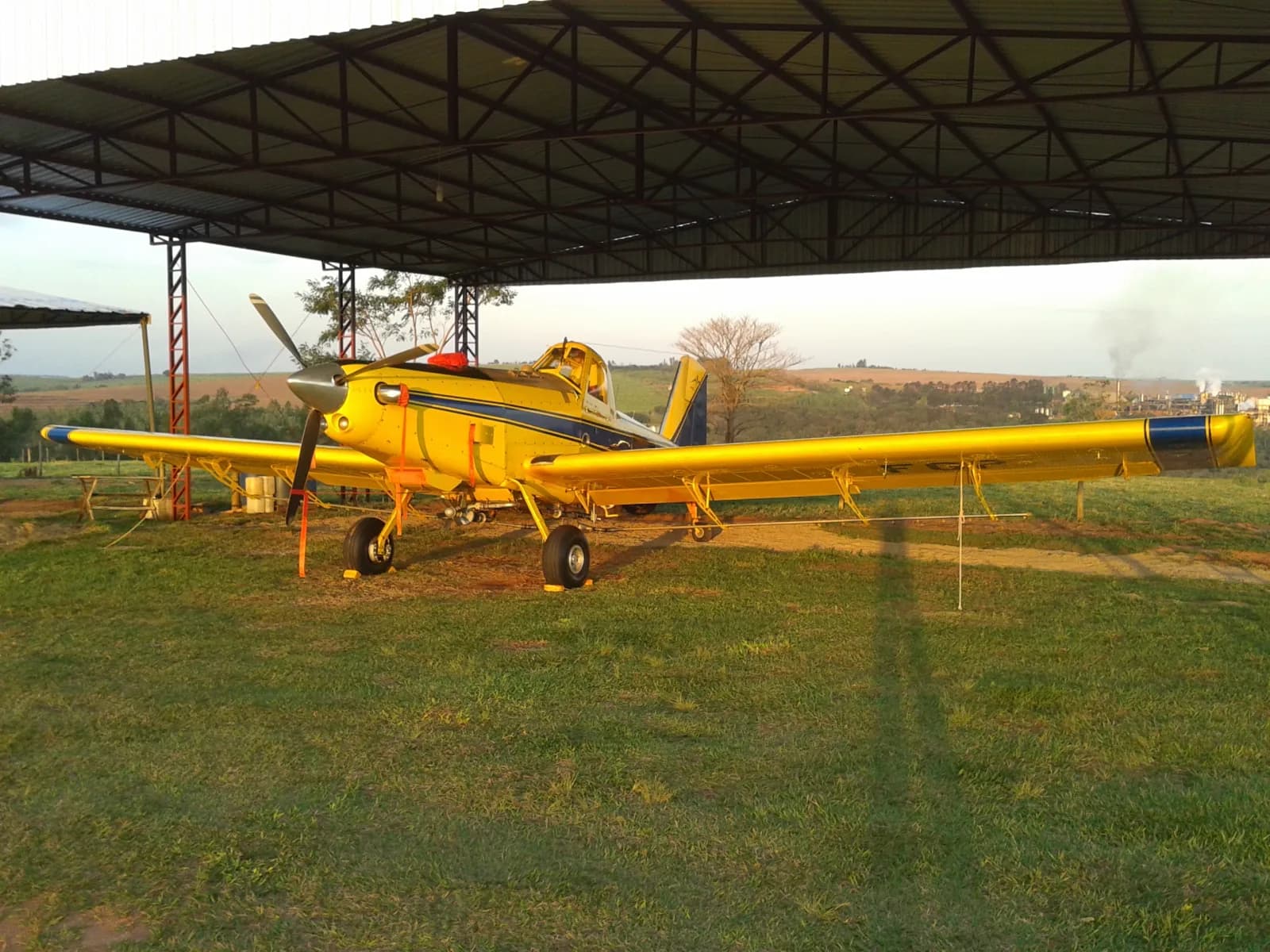 Avião agrícola amarelo estacionado sob uma cobertura metálica na base de uma empresa aeroagrícola, com lavouras ao fundo